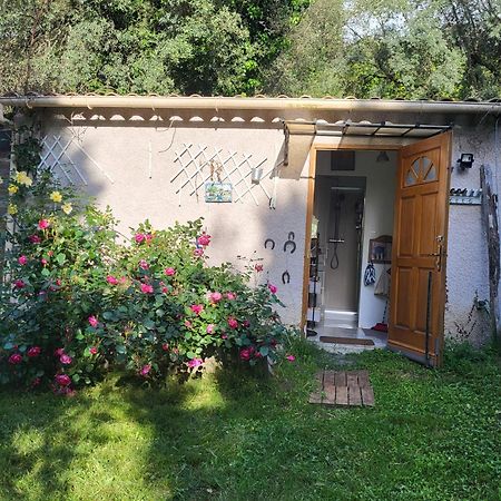 Studio A La Campagne Ucciani Exterior photo